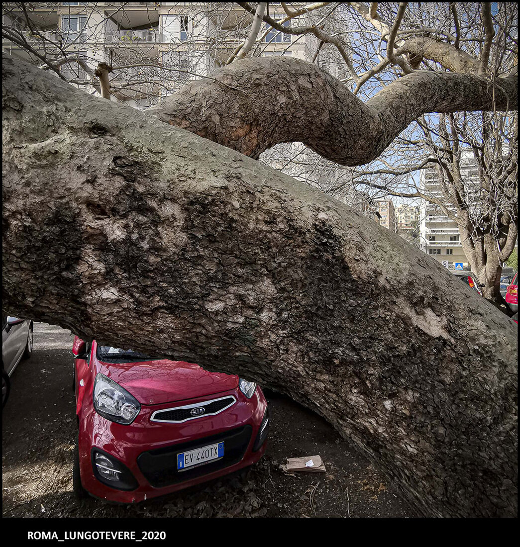 27_roma_lungotevere_2020.jpeg 27_roma_lungotevere_2020.jpeg