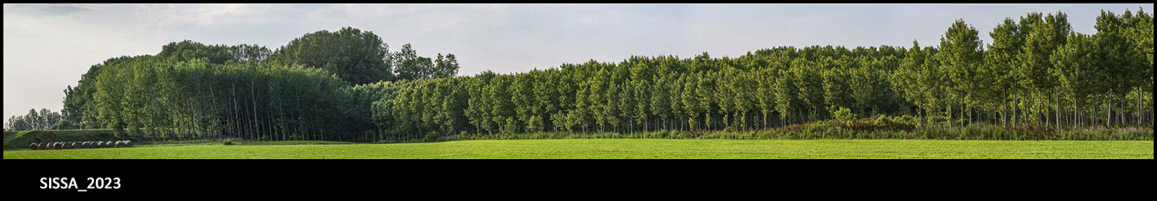 12_sissa_2023_01.jpeg 12_sissa_2023_01.jpeg