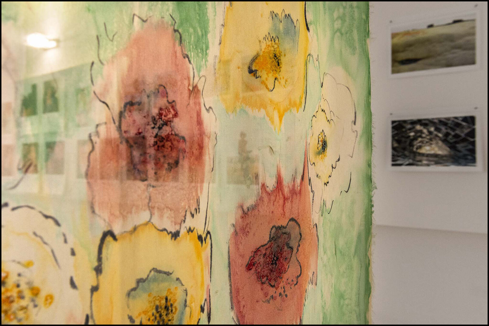 24_o 00414 0241.jpeg