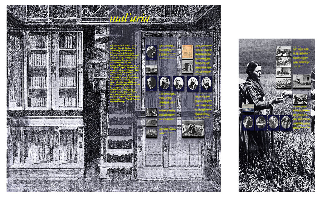 04_malaria_totale_01.jpeg