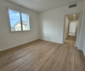 img_20251231_132835380_hdr.jpeg img_20251231_132835380_hdr.jpeg