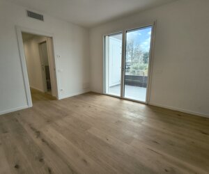 img_20251231_131127866_hdr.jpeg img_20251231_131127866_hdr.jpeg