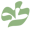 logo_salvia