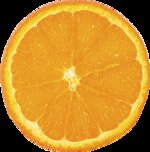 arancia-navelina-bio