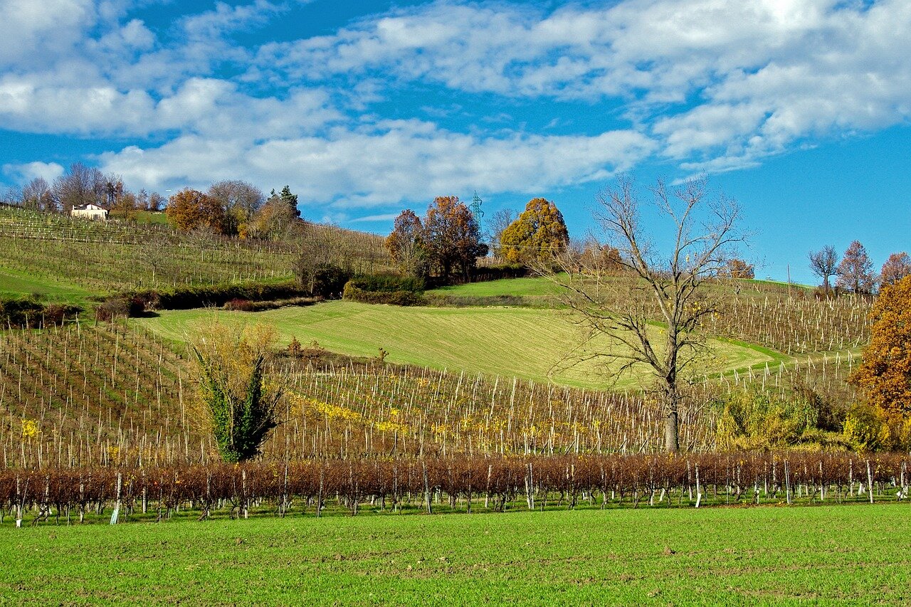 Fondi Agricoltura Emilia-Romagna 2026: come far crescere la tua azienda (senza impazzire con la burocrazia)