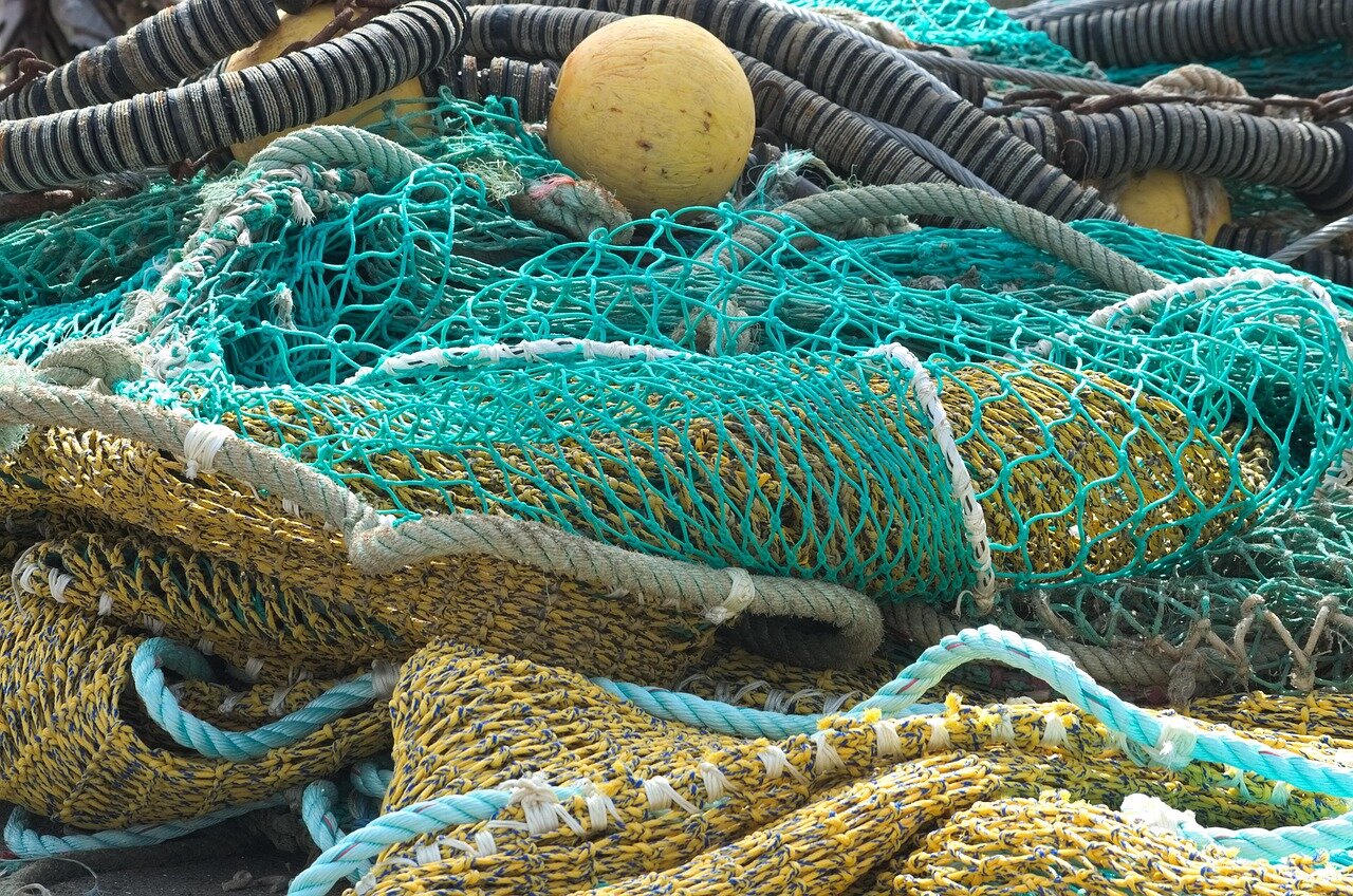 🎣 Maxi sequestro a Termoli: la Guardia di Finanza intercetta 1,8 tonnellate di pesce irregolare