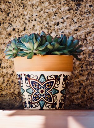 eyJmciI6IlVuZSBiZWxsZSBwbGFudGUgZGFucyB1biBwb3QgY29sb3LpIn0=