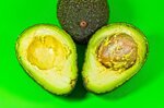avocado-baby-hass-bio