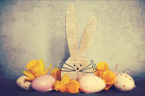 pxb_4884161_fa2b2e0a745e83e436a3df2f04805200