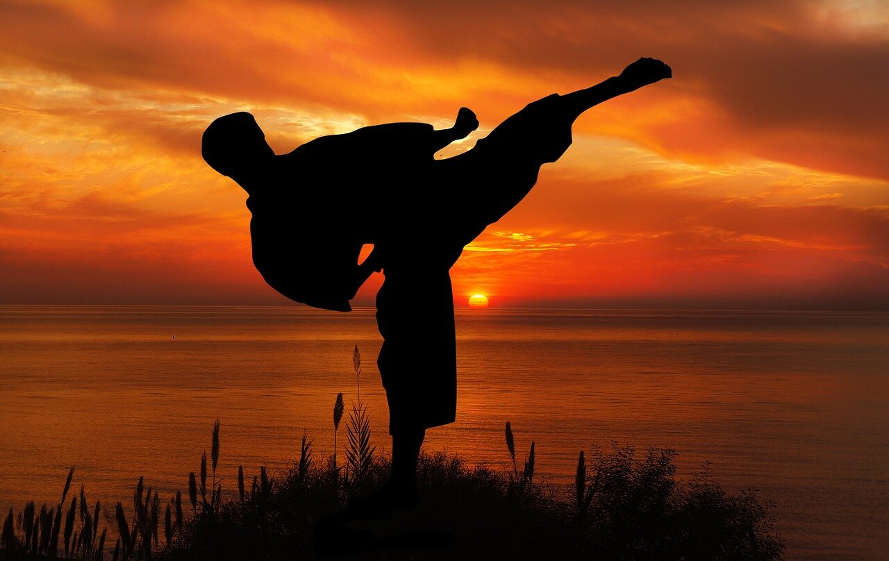 Che cos'è il Karate Kyokushinkai? - La Via della Verità attraverso forza, disciplina e coraggio