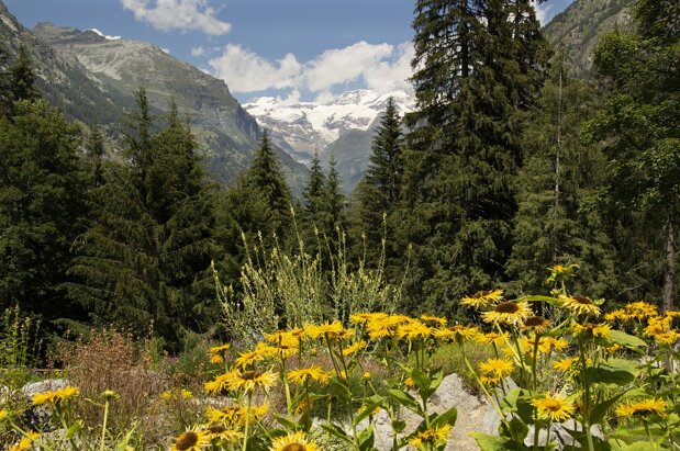 pxb_5463244_dc51c25579775925cd83c35dc2474083