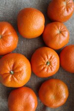 mandarino-tardivo-di-ciaculli-bio