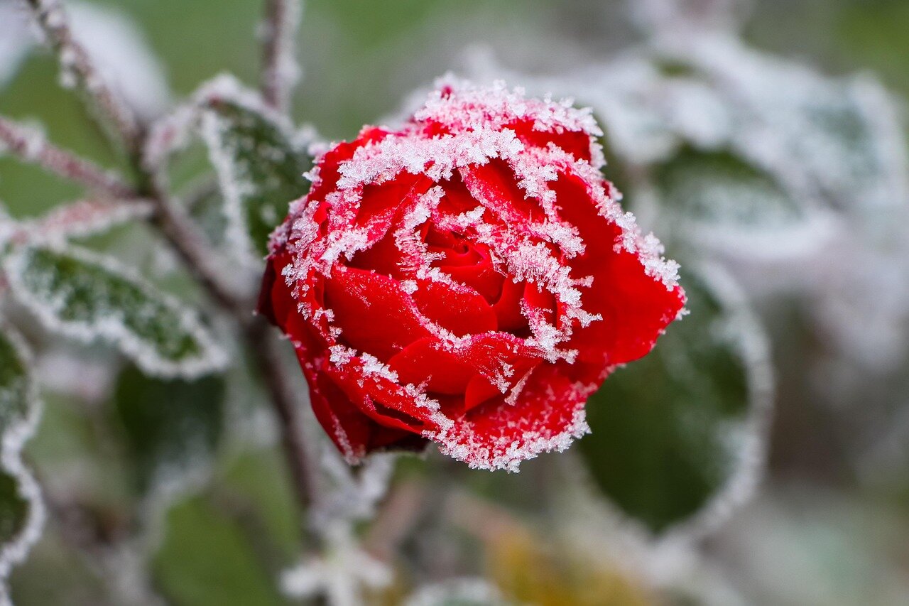 🌨️ Molise sotto schiaffo: arriva l'ondata di maltempo tra neve, piogge e venti di burrasca
