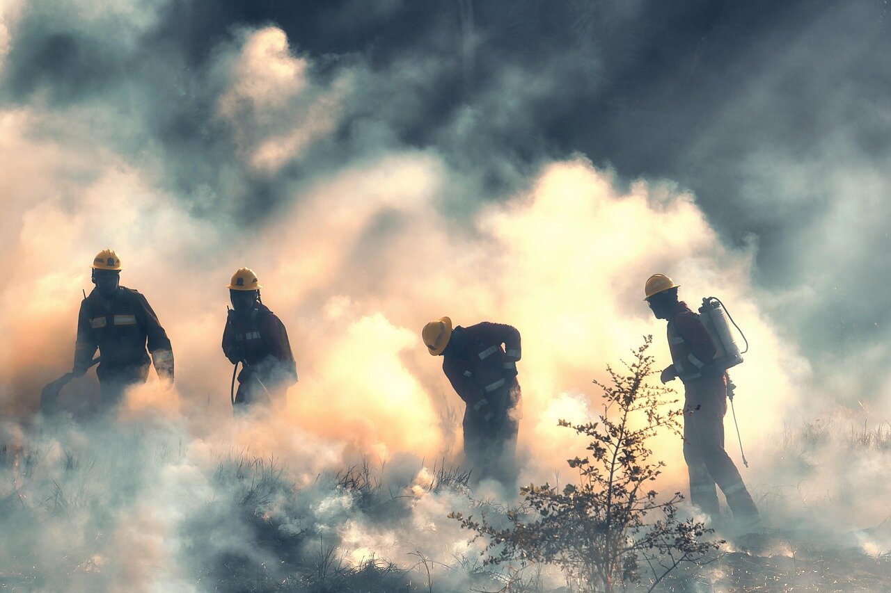 Incendi estivi in Molise: 186 ettari bruciati, colpite soprattutto aree agricole