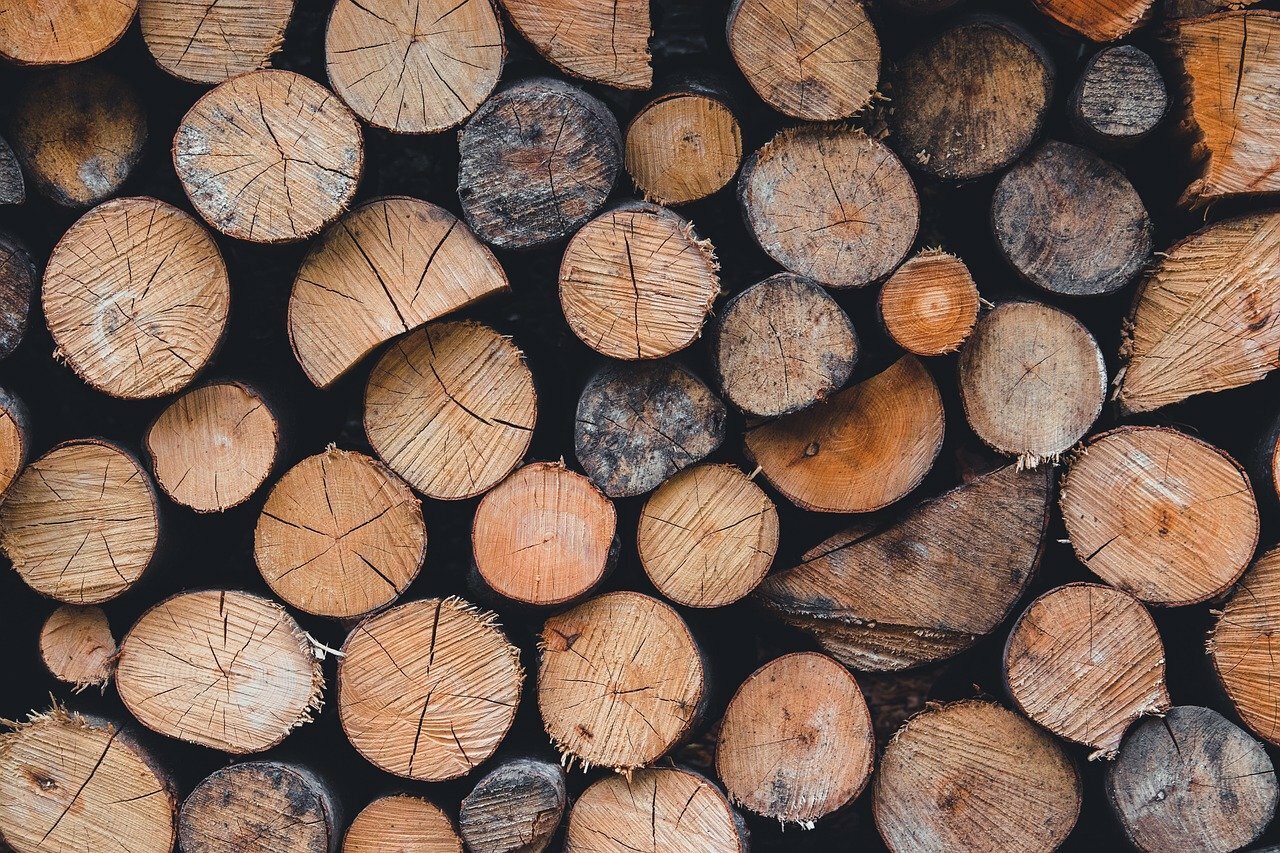 pxb_9750451_2a2652b8495b505fa06fb78d7eae492b.jpg pxb_9750451_2a2652b8495b505fa06fb78d7eae492b.jpg